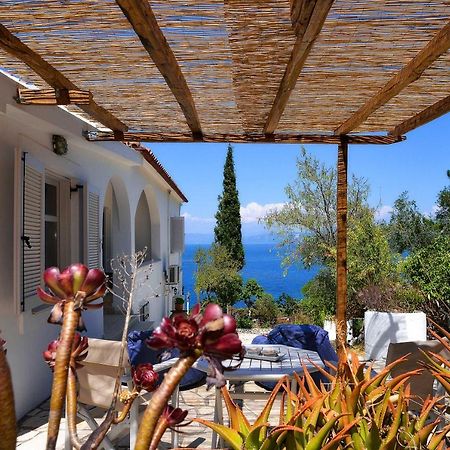 New! Paxoswhite Sea View Apartments & Studios! Gaios Exteriör bild
