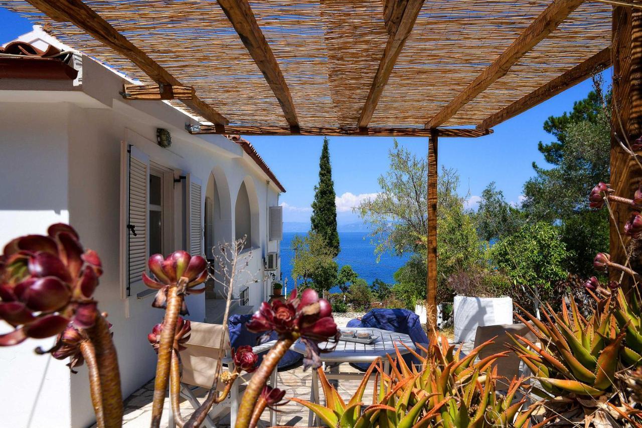 New! Paxoswhite Sea View Apartments & Studios! Gaios Exteriör bild